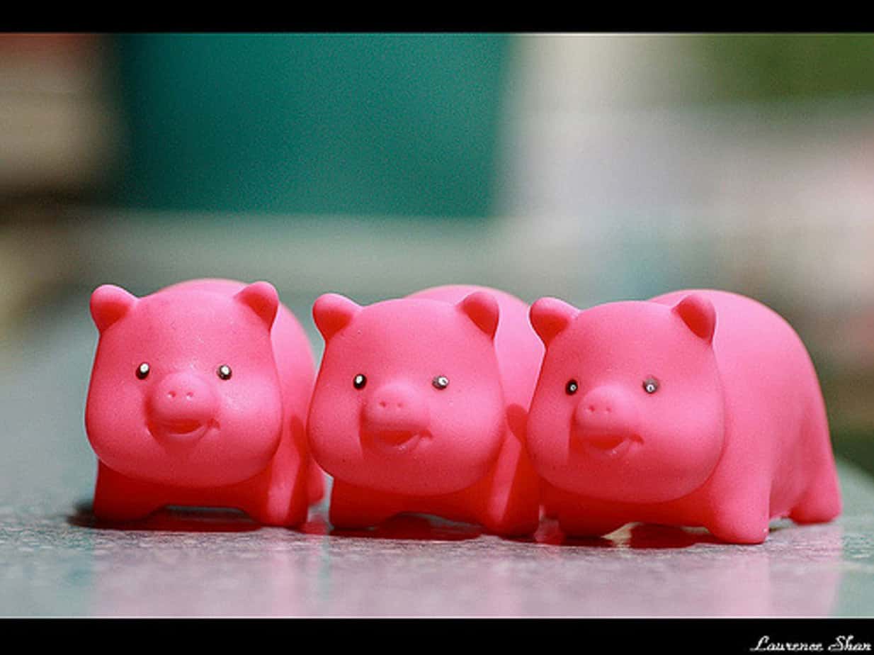 How the three little pigs can help convey the importance of user ...